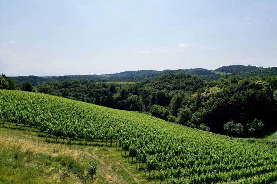 Ein Logenplatz an der Südsteirischen Weinstraße: Exklusives Chalet-Grundstück mit spektakulärem Panoramablick, Grund und Boden-kauf, 1.400.000,€, 8462 Leibnitz