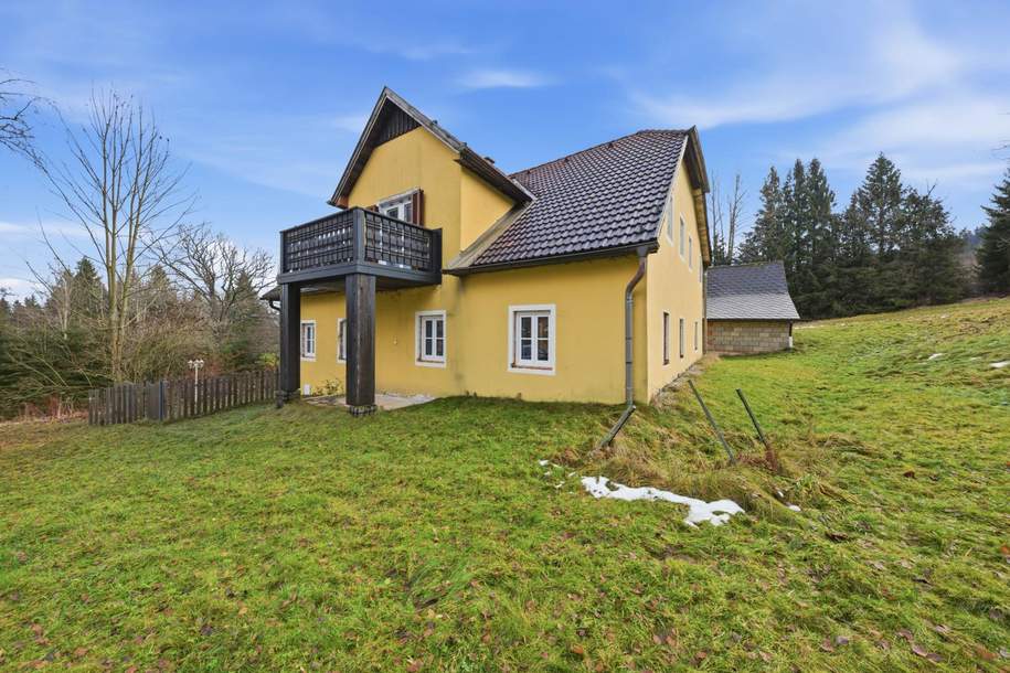 Erstbezug nach Renovierung (EG) und 26.849 m² Land (Tierhaltung erlaubt) !, Haus-kauf, 269.000,€, 3970 Gmünd