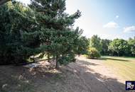 Großflächiges Wohnhaus in absoluter Ruhelage! (Provisionsfrei)