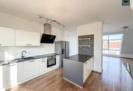Klimatisierte Dachgeschoss Maisonette mit 2 Terrassen und Kamin nahe Uno City!