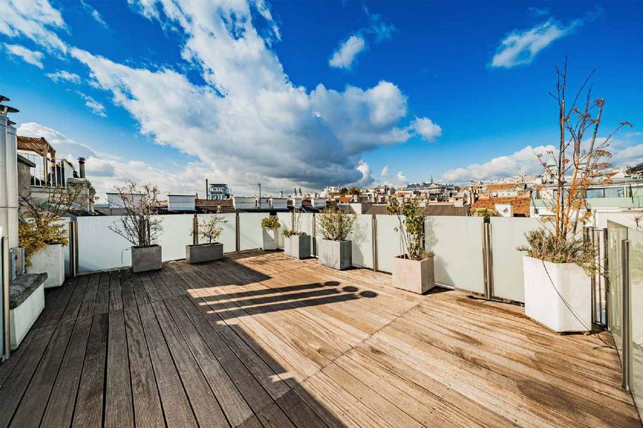 Terrassentraum in der Laimgrubengasse zu vermieten., Wohnung-miete, 3.399,00,€, 1060 Wien 6., Mariahilf