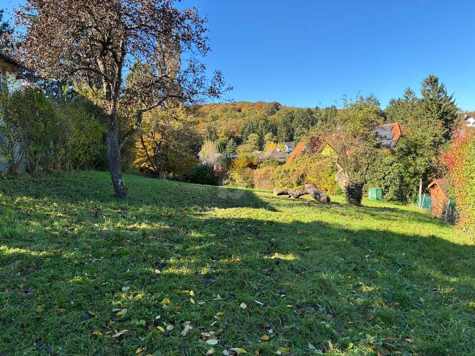 HERRLICH MIT BERG- UND WALDBLICK