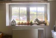 Einfamilienhaus und Gästehaus auf großem Grundstück, Pool und Schneebergblick!