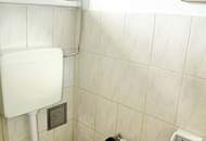 modernisiertes Haus mit großem Grund in Ruhelage beim Lainzer Tiergarten! -mit Baureserve