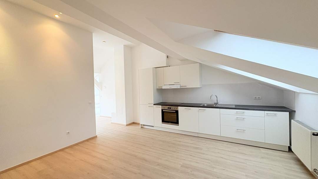 Über den Wolken nahe dem Servitenviertel/Clusiusgasse DG mit Terrasse ca. 11m²