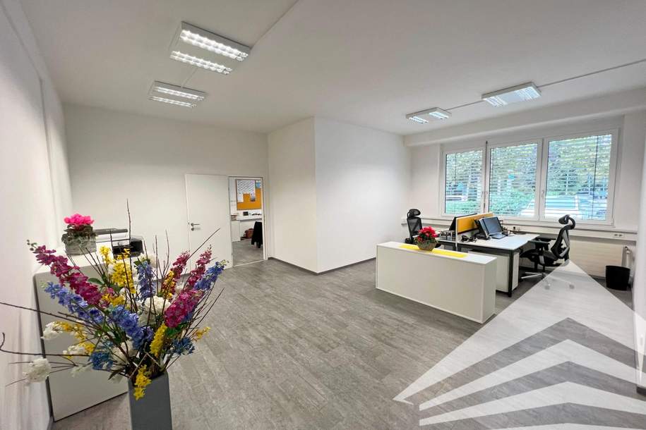 Helles 130 m² Büro mit Lager am Franzosenhausweg sofort verfügbar!, Gewerbeobjekt-miete, 2.268,00,€, 4020 Linz(Stadt)