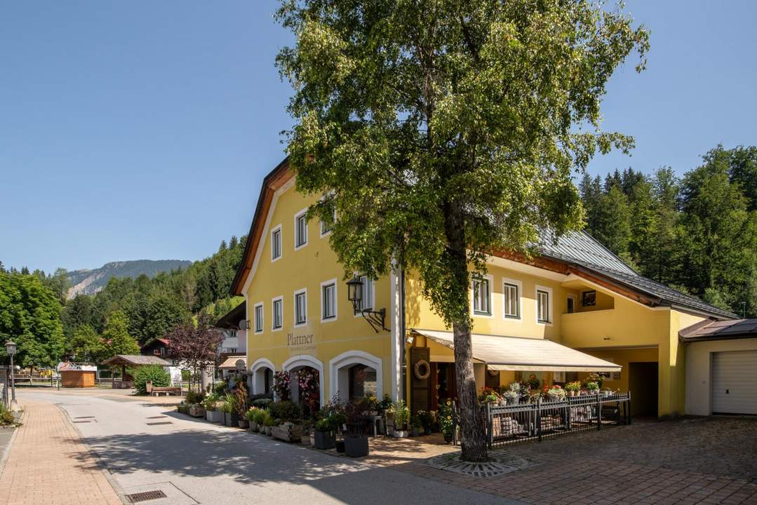 Investorenobjekt: Voll vermietetes Mehrparteienhaus mit Projektstudie