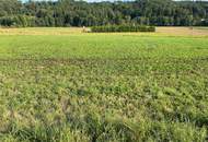 Landwirtschaftliche Nutzfläche in guter Vasoldsberger Lage