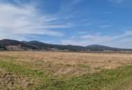 „Rarität bei den Weinbergen – Baugrundstück mit 70 % Verbaubarkeit in Ruhelage“