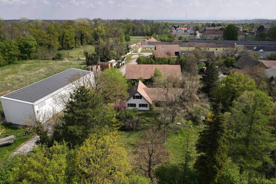 Einfamilienhaus auf großzügigem Grundstück mit Entwicklungspotenzial, Haus-kauf, 385.000,€, 2283 Gänserndorf
