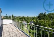 3 Zimmer DG-Traum beim Türkenschanzpark