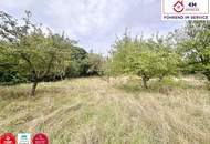 Traumgrundstück in Bad Fischau – perfekte Lage für Ihr neues Zuhause!