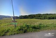 Panoramahang Frannach (Provisionsfrei)