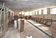 Vierkanthof-Charme in guter infrastruktureller Lage mit geschütztem Innenhof