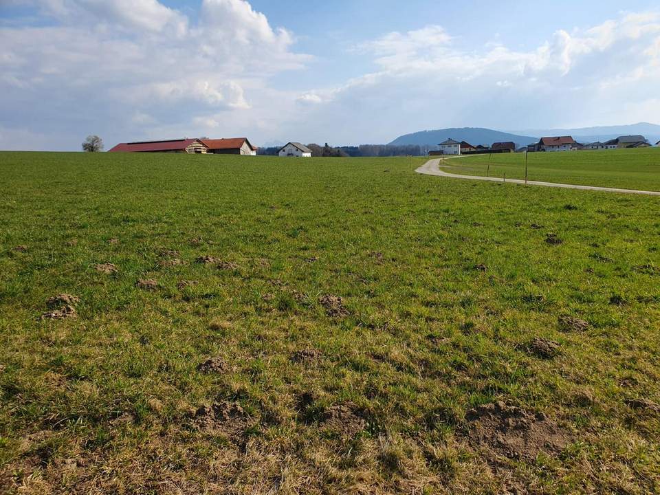 Landwirtschaftlicher Nutzgrund ca. 2,5 ha