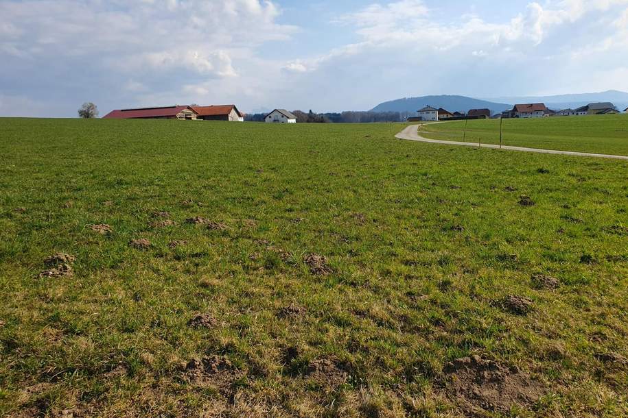 Landwirtschaftlicher Nutzgrund ca. 2,5 ha, Grund und Boden-kauf, 375.000,€, 5211 Braunau am Inn