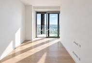 The Skyline Penthouse: DC2 Tower Level 51 - DANUBE HORIZON