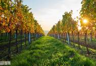 EXKLUSIVE TERRASSENWOHNUNG MIT PARKBLICK IN TOPLAGE