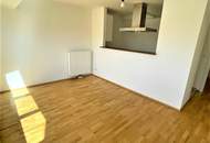 DACHGESCHOSS, INNSTRASSE, 42 m2 Neubau mit 2 m2 Balkon, 2 Zimmer, Komplettküche, Wannenbad, Parketten