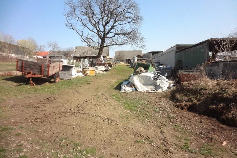 GROSSES, LEISTBARES GRUNDSTÜCK MIT STADL!, Grund und Boden-kauf, 59.000,€, 7374 Oberpullendorf