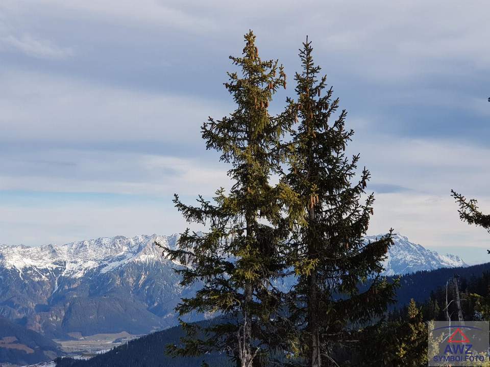 Familiennest mit Blick auf den Untersberg!