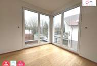 GÜNSTIG!! Vier Häuser im Paket zu Verkaufen!