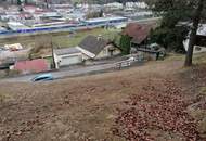 Baugrundstück mit alten Holzblockhütten