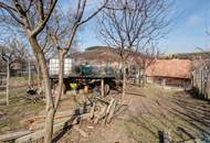 Weinviertler Bauernhaus in Ruhelage – rund 1.900 m² Grundstück mit viel Gestaltungsspielraum