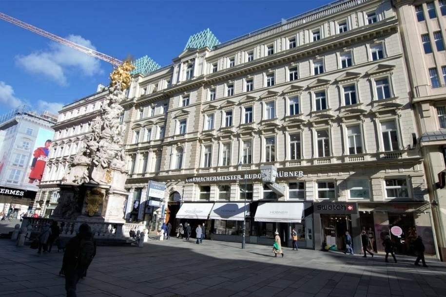 Office Center Graben 28 - serviciertes Großraumbüro für bis zu 6 Personen mit Besprechungsraum und Küche, Gewerbeobjekt-miete, 2.990,00,€, 1010 Wien 1., Innere Stadt