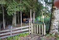 Rückzugsort am Waldrand