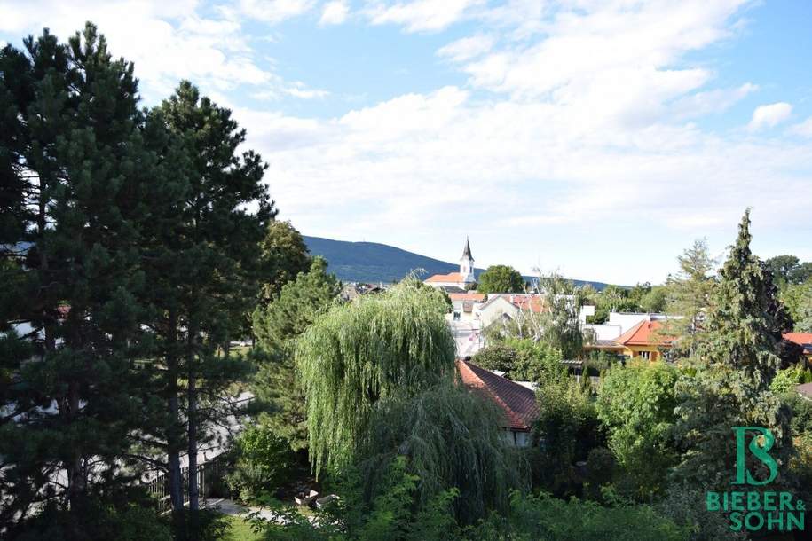 Großzügiges, sonniges Einfamilienhaus mit 80m² Dachterrasse, Haus-kauf, 730.000,€, 2514 Baden