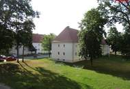 Einladendes Wohnambiente und praktische Raumaufteilung: sanierte 2-Zimmer-Wohnung mit Grünblick bietet die perfekte Kombination aus naturnahem Wohnen und ausgezeichneter Infrastruktur in Stadtnähe!