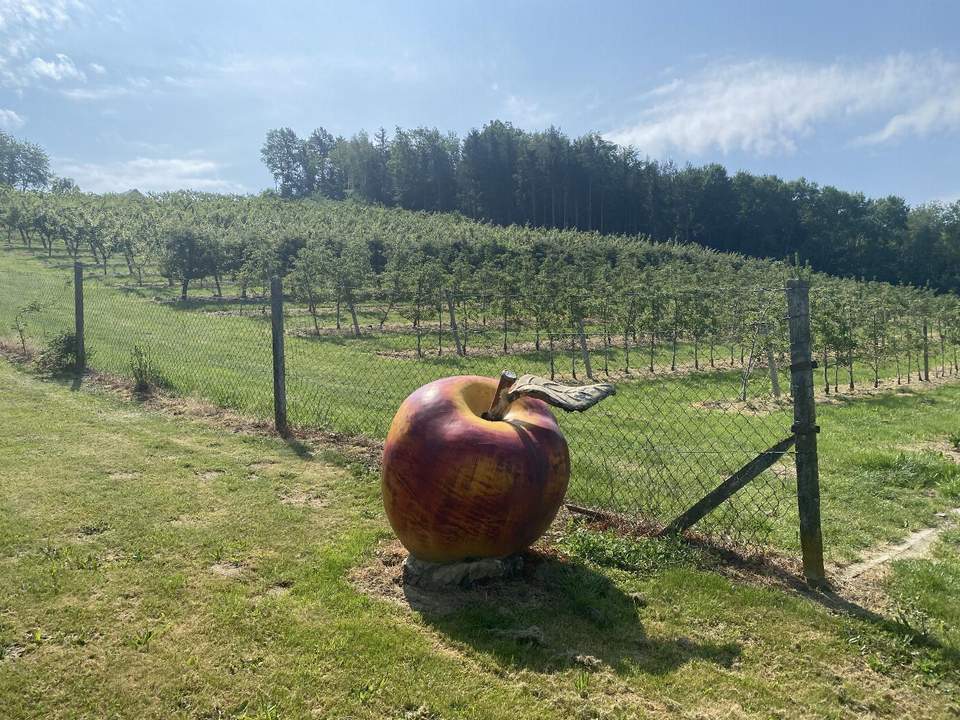 Wunderschönes Obstgut - Alleinlage - Genusswelt - Teich - Quelle!