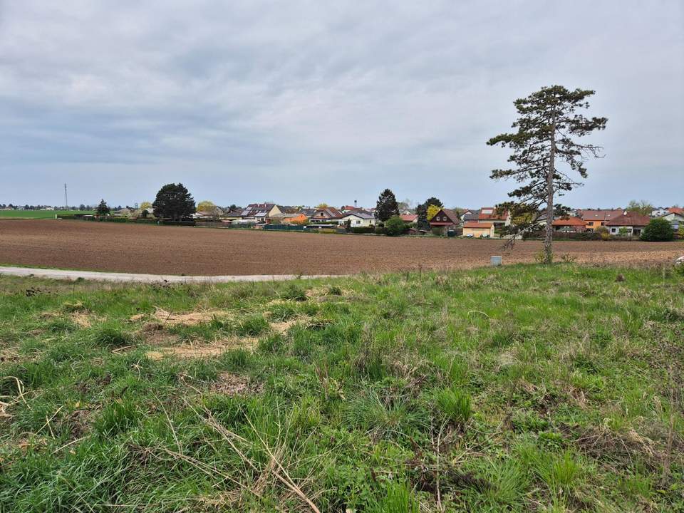 Attraktives Baugrundstück in Grünruhelage!