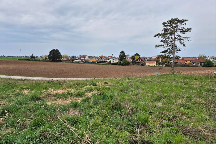 Attraktives Baugrundstück in Grünruhelage!, Grund und Boden-kauf, 208.000,€, 2230 Gänserndorf