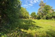 Ca. 700 qm Grundstück am Hackenberg, "Grüne Wolke 1190 ", Provisionsfrei und Ruhelage!