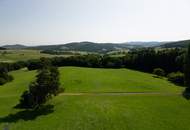 Zum Verkauf steht ein zusammenhängendes Landwirtschafts- und Waldgrundstück mit Holzhaus