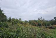 Landwirtschaftlicher Nutzgrund nahe Leondinger Straße