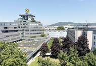 Herrliche Terrassenwohnung in zentraler Linzer Lage