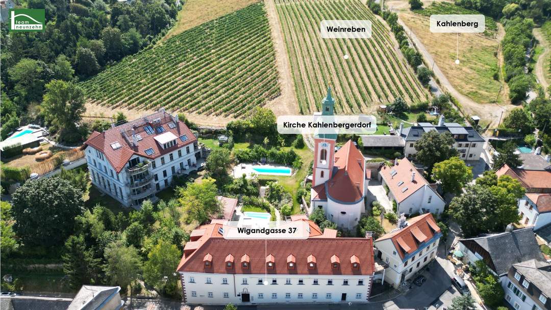 Entspannen und Geniessen – sanierte Wohnung in Traumlage zwischen Donau und Weinbergen. - WOHNTRAUM