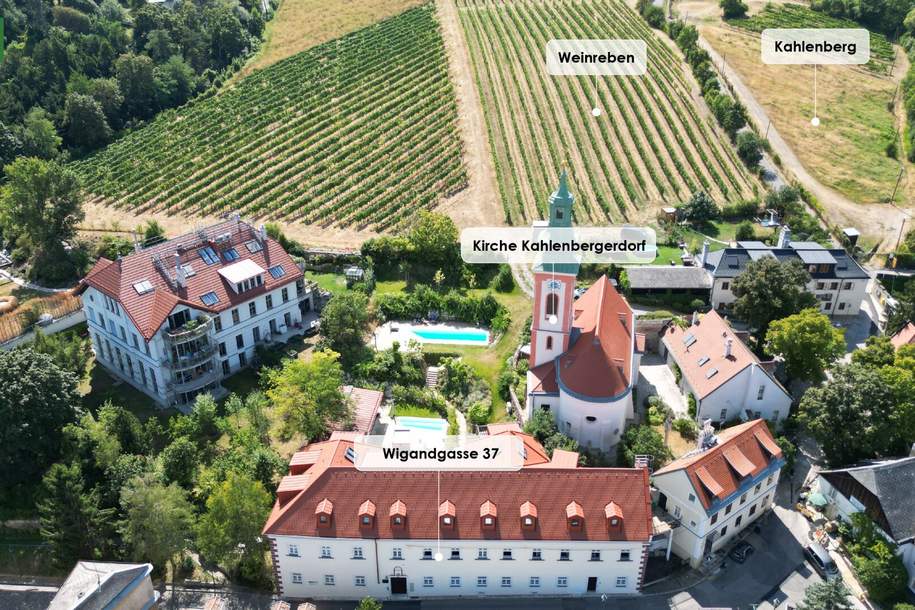 Entspannen und Geniessen – sanierte Wohnung in Traumlage zwischen Donau und Weinbergen. - WOHNTRAUM, Wohnung-kauf, 180.121,€, 1190 Wien 19., Döbling