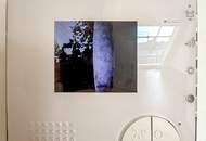 Klimatisierte Dachgeschoss Maisonette mit 2 Terrassen und Kamin nahe Uno City!