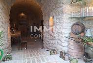 Ein Juwel erwartet Sie; Und das nur 20 Autominuten von Wien entfernt!