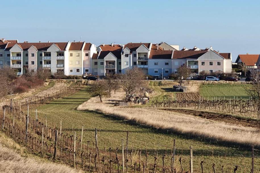 Großzügige Familienwohnung in der Storchenstadt Rust am See, Wohnung-kauf, 295.000,€, 7071 Rust(Stadt)