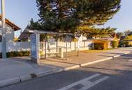 Alte Donau: Kleingartengrundstück mit Altbestand und Entwicklungspotenzial