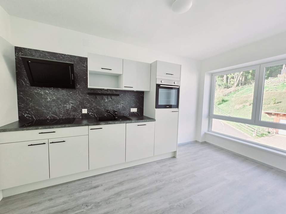 Renovierte 2-Zimmer Wohnung mit Küche in Sonnwiesen
