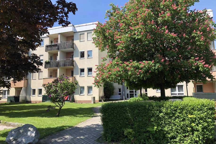 Geförderte Seniorenwohnung mit sonniger Loggia, barrierearmem Komfort und Aufzug - exklusiv nur für Pensionisten, die ruhig und selbstständig wohnen möchten!, Wohnung-miete, 367,52,€, 4400 Steyr(Stadt)