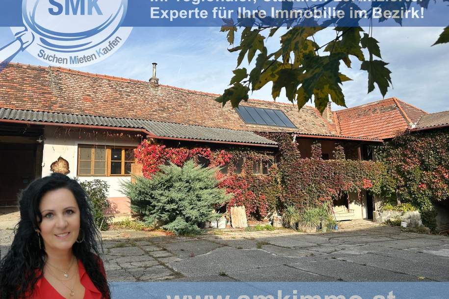 Charmantes Bauernhaus mit vielseitigem Potenzial!, Haus-kauf, 275.000,€, 3730 Horn