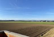 Eigenheim mit Dachterrasse und Begrünung, Estrich bereits fertig