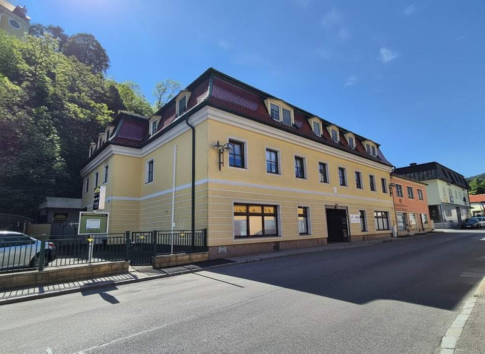 Renovierte 3 Zimmer Wohnung mit Balkon im Herzen von Pitten!